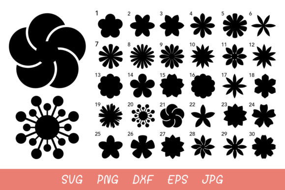 30 Flowers Templates: A Complete Toolkit for Modern Creators